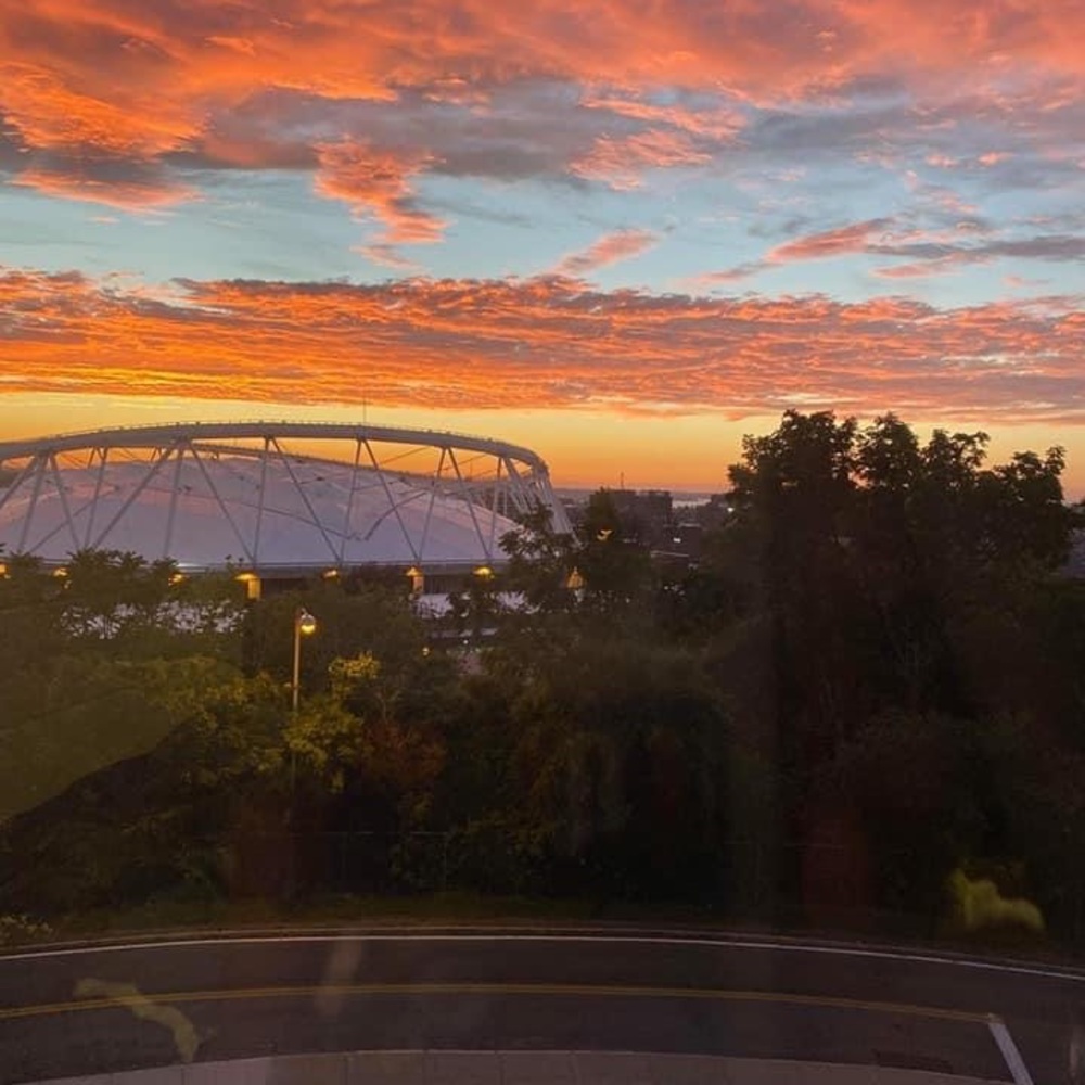 Meet your Posher, Tammy